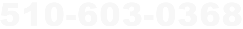+15106030368